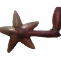 Rowel Spur