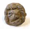 Lion's Head Mount
