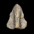 Spearhead (Fragment)
