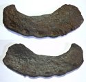 Horseshoe