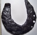 Horseshoe