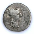 M. Cipius M.f. Denarius
