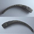 Bracelet (Fragment)