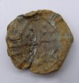 Lead Token