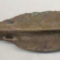 Basal-Looped Spearhead
