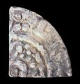 William I (the Lion) Cut Farthing, Scotland