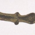 Rowel Spur Fragment