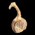 Cloth Seal
